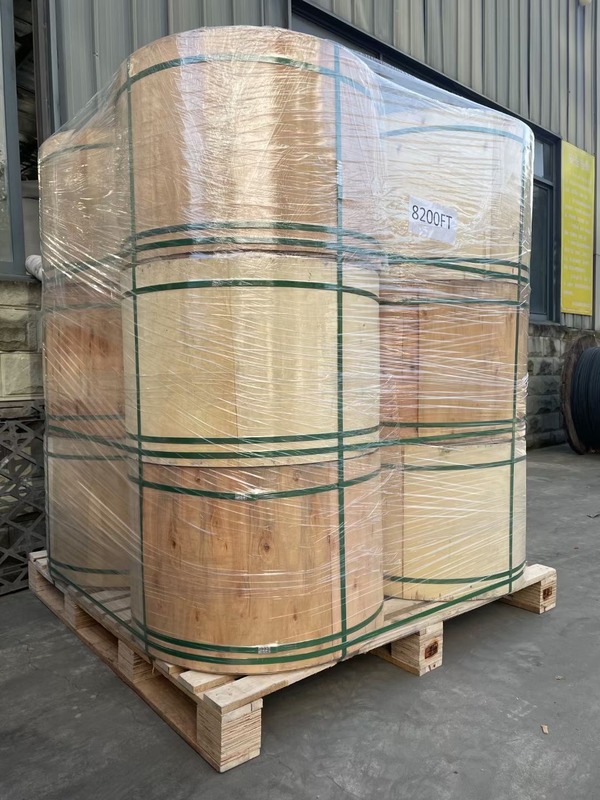 Optische Vuurvaste Kabel GYTZA van de 48 Kern de Openlucht Gepantserde Vezel