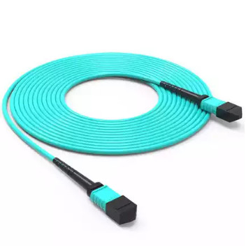 10G 40G 100G 12 Kern MPO Kabel MTP Boomstam Kabel SM OM3 OM4 8 12 24 Kernen